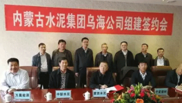 冬去春來，水泥企業(yè)“抱團(tuán)取暖”，是要干啥