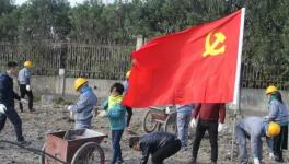 寧波海螺水泥公司黨員突擊隊 “造綠色廠區(qū)，建美麗企業(yè)”