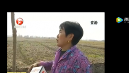 該地區(qū)農(nóng)田整治被揭搞豆腐渣工程，混凝土一捏粉粉碎！