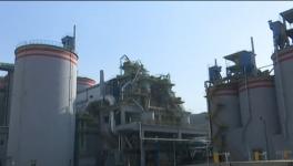 零污染 零排放的水泥廠！您見過嗎？