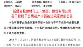 法院已受理這家水泥上市公司下屬企業(yè)的破產(chǎn)申請(qǐng)