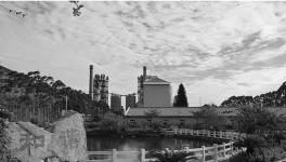 這一地區(qū)水泥龍頭企業(yè)華潤(rùn)、海螺等喜獲佳績(jī)