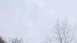 這家水泥廠破壞青山、污染環(huán)境何時(shí)休？