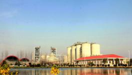 水泥行業(yè)“漲聲一片” 冀東、華新、萬年青等業(yè)績倍增