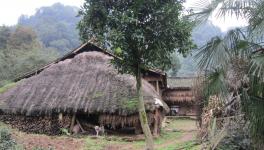 無(wú)化區(qū)來(lái)了！請(qǐng)不要妖魔化水泥廠