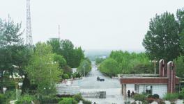 綠色生態(tài)，打造水泥廠最美四月天！