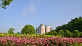 打造美麗礦區(qū)！叫響華新水平綠色品牌！