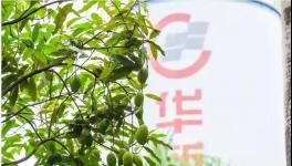 人與自然和諧相處！水泥廠迎來(lái)神秘訪客！