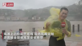 霸王級臺風席卷多省份!近1000家水泥銷售受影響！  