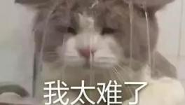 國慶節(jié)的催款心聲，讓數(shù)萬水泥人不再沉默！