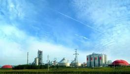 海螺水泥首個SCR脫硝項目曝光！排放指標(biāo)驚人！