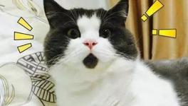 美！太美了！這些花園水泥廠您去過嗎！