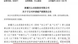 天山水泥子公司向法院申請(qǐng)破產(chǎn)清算并辦理注銷登記