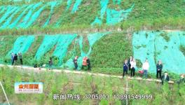 點(diǎn)贊！這一地區(qū)礦山生態(tài)環(huán)境恢復(fù)治理近200公頃！