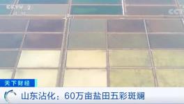 1噸海水超千元！廢料還能造水泥！