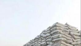 800元/噸的水泥來了！搶購！砂石、混凝土、混合材瘋漲！超載不給貨！