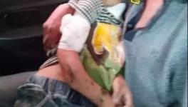 突發(fā)！血肉模糊！混凝土攪拌機(jī)把人活活攪死！