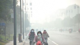 水泥停產(chǎn)！工地放假！物流停運(yùn)！“春運(yùn)”提前來了！