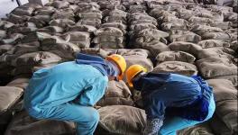 大事！砌筑32.5、P.P、P.F、P.S.A 32.5水泥全部取消！這個(gè)省動(dòng)真格！