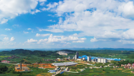 乘勢(shì)而起求發(fā)展  步步為營謀布局——虎鷹集團(tuán)發(fā)展紀(jì)略