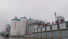 強手如林中拔得頭籌！這家水泥企業(yè)年利潤超3億元！