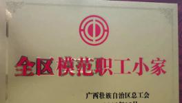 興業(yè)海螺質量控制處工會小組榮獲“2019年全區(qū)模范職工小家”榮譽稱號