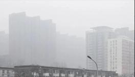 停工停產(chǎn)一個月！霧霾還是爆表！3000多家水泥企業(yè)“冤不冤”?