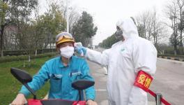 視頻：無人駕駛調(diào)試、大型設(shè)備組裝......蕪湖海螺復(fù)產(chǎn)！