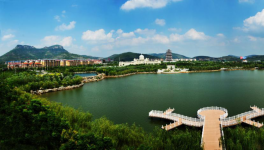 山東省棗莊市51條水泥立窯生產(chǎn)線(xiàn)全部關(guān)停！