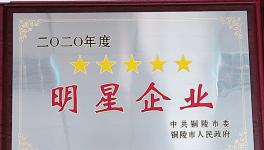 樅陽(yáng)海螺獲得銅陵市多項(xiàng)榮譽(yù)稱(chēng)號(hào)