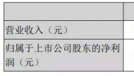 天山股份年報(bào)：2020年實(shí)現(xiàn)凈利潤15.16億元！