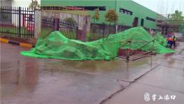 臭味重、蚊蟲多！華新水泥被舉報！