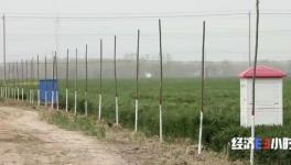 水泥墻里塞泡沫？投資千萬“樣子工程”！