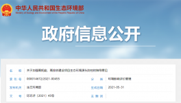 生態(tài)環(huán)境部出臺(tái)意見嚴(yán)格審查“兩高”項(xiàng)目！