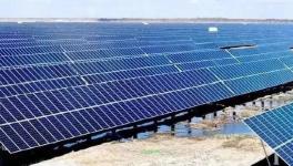 跨界投資！有關(guān)海螺、塔牌、紅獅等水泥集團(tuán)！