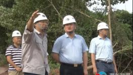 南方水泥上半年?duì)I收3.65億元！新項(xiàng)目推進(jìn)中！