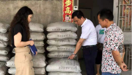 市場上這7個主要水泥品牌被質(zhì)量抽檢！