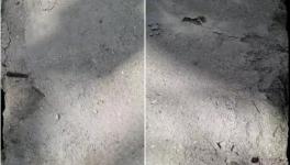 春江豐華水泥質量不合格！多地監(jiān)管部門全面督查！