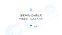 加速收購(gòu)！海螺水泥在下一盤(pán)大棋！