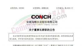 海螺水泥公告：王誠不再擔(dān)任公司法定代表人！