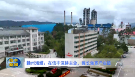 海螺子公司3條熟料生產(chǎn)線實(shí)現(xiàn)營收118億！