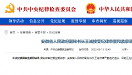 突發(fā)！海螺原董事長(zhǎng)被查！