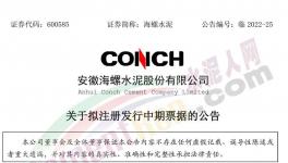 海螺水泥擬發(fā)行不超100億票據！