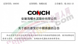 缺錢(qián)！海螺子公司“架空”！“借錢(qián)”100億 ！