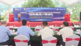 ?總投資額4775萬元！華潤水泥光伏項目開工?！