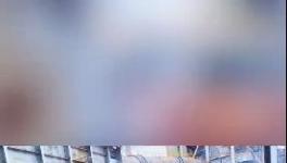 殺公雞！開窯！水泥廠“辟邪”！