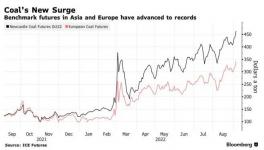 瘋了！這種原料價(jià)格破紀(jì)錄！水泥廠“哭了”！