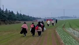 反撲！多省工地停工！水泥廠停發(fā)！商混站“告急”！