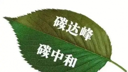 縫出匠心！這家環(huán)保企業(yè)脫穎而出！市場占有率名列前茅！