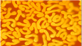 對比明顯，這個(gè)材料完勝！最長可用8年，節(jié)約電費(fèi)百萬！